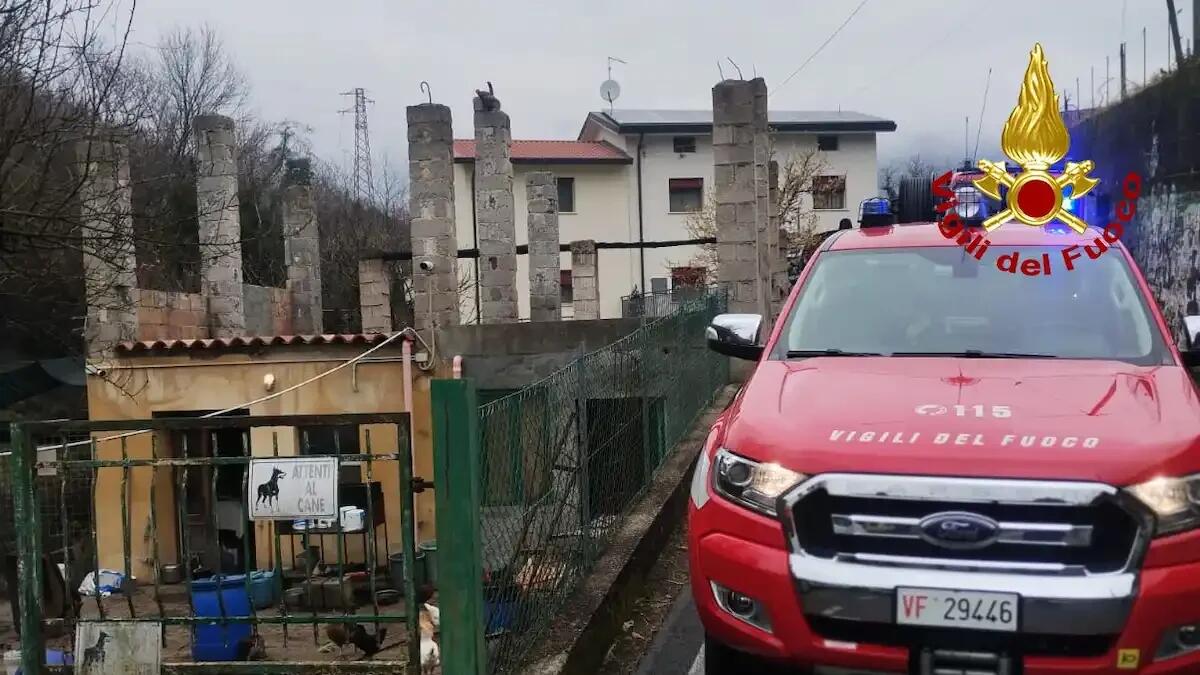 Tragedia in una baracca: uomo e agnellino trovati morti, indagine su una possibile fuga di gas - 