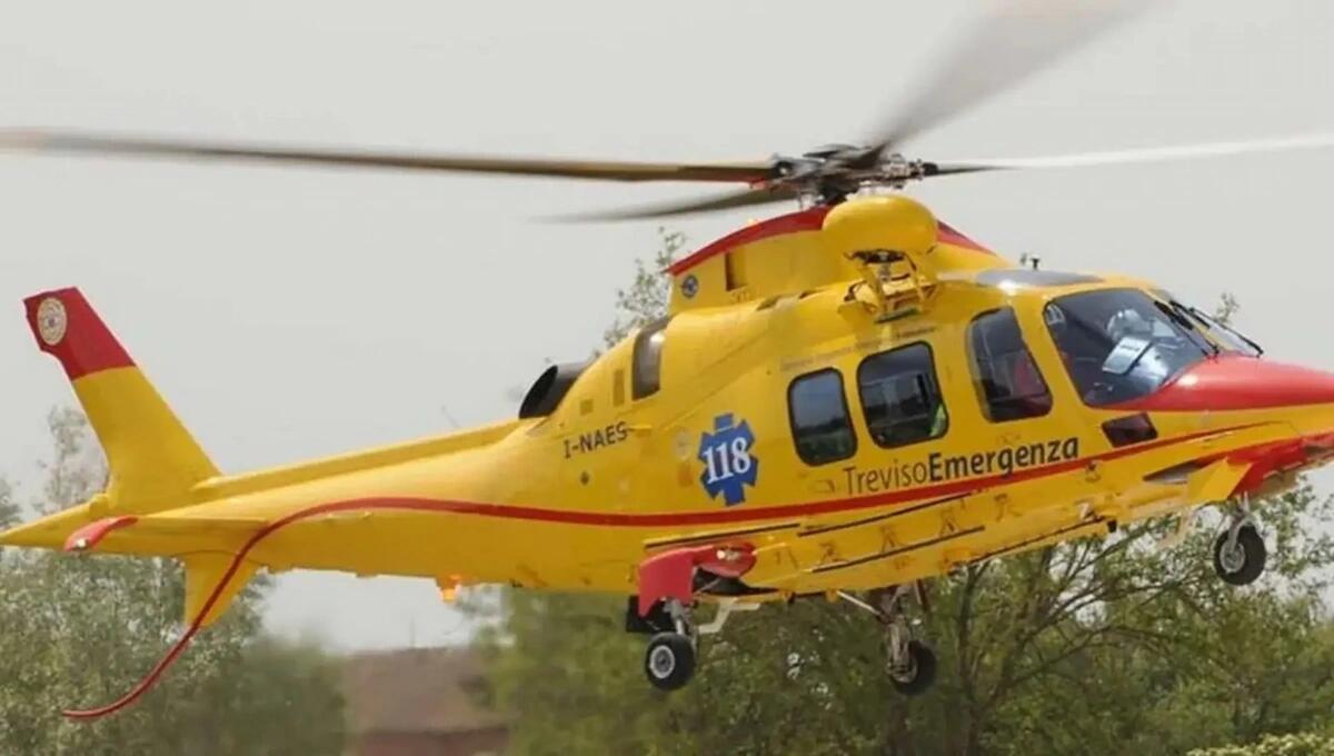 Precipita dalla cima di un albero mentre pota i rami: portato in elicottero al Ca' Foncello - 