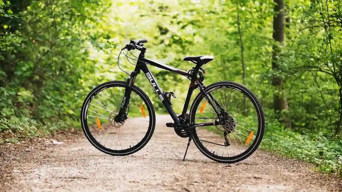 Dove pedalare in inverno? Ecco 6 percorsi in Veneto e Friuli Venezia Giulia - 