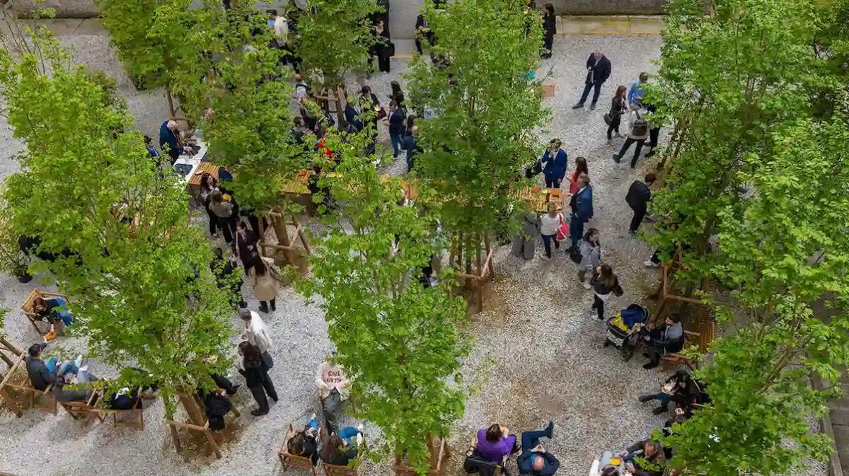 Open Day all’Accademia Belle Arti Tiepolo di Udine: Arteterapia e corsi in inglese - 