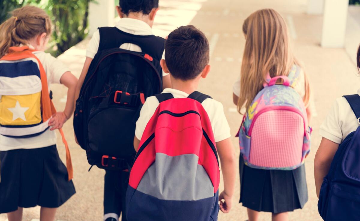 Scadenza iscrizioni scuola statale prorogata al 10 febbraio 2025 - 