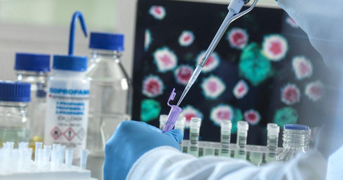 L'amiloidosi: la malattia di Oliviero Toscani e le sue gravi conseguenze - 