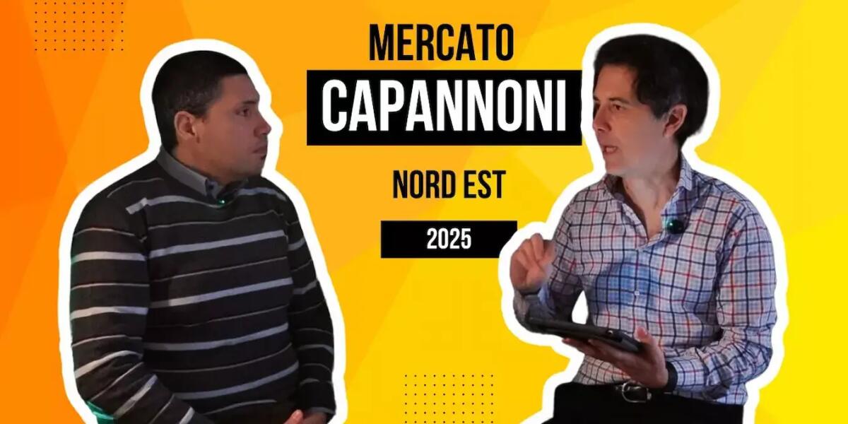 Andamento del mercato dei capannoni industriali nel Nord-Est: previsioni e opportunità per il 2025 - 