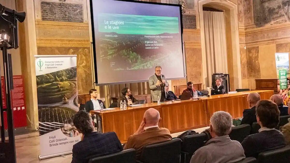 Friuli Colli Orientali: il Consorzio lancia un chatbot per la gestione dei dati vitivinicoli - 