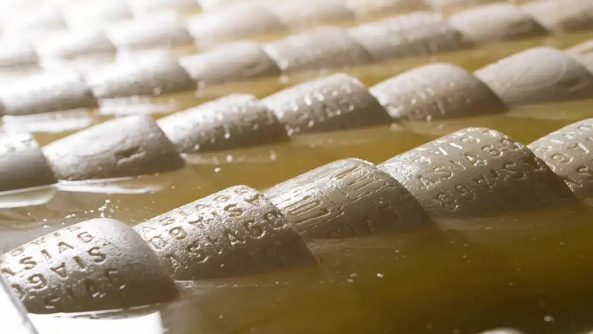 Latterie Vicentine a Marca by BolognaFiere 2025: innovazione e tradizione -