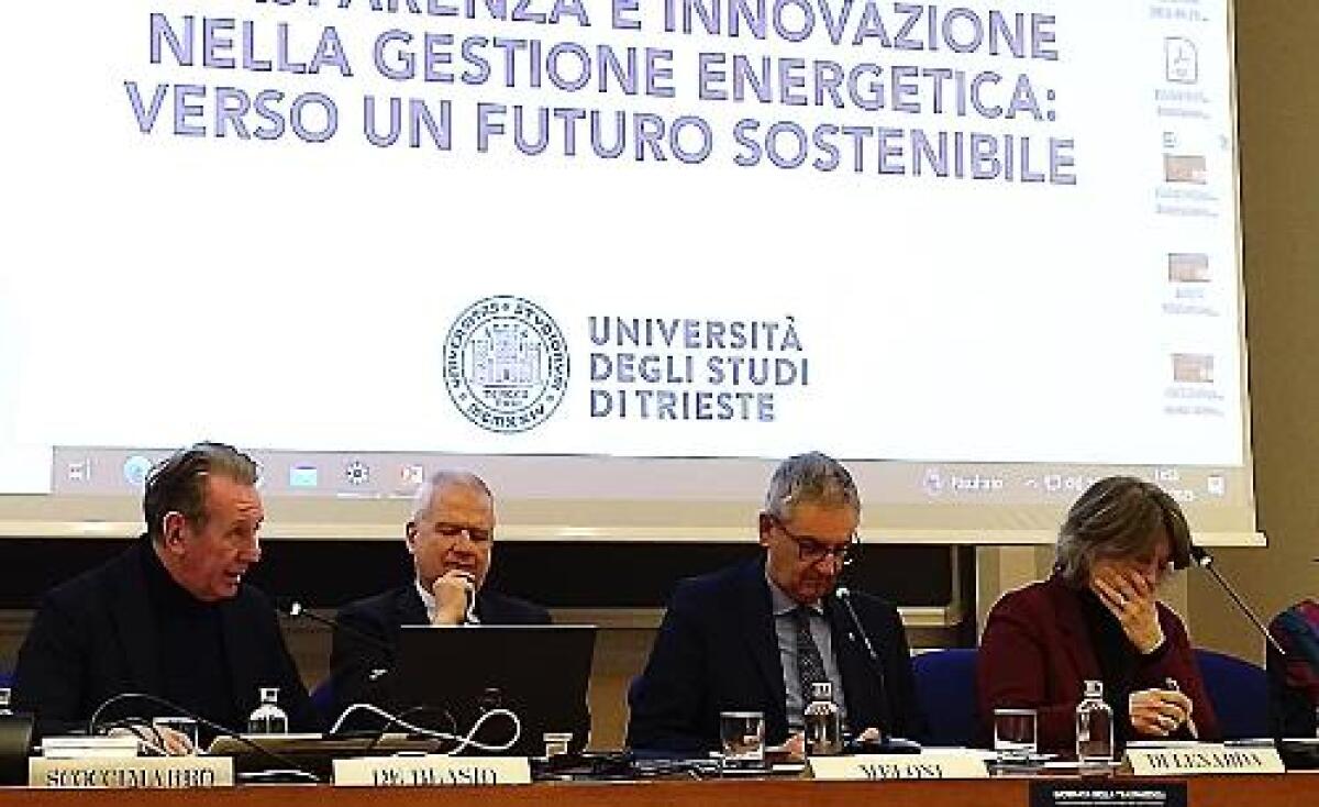 Assessore Scoccimarro: Trasparenza e sostenibilità nel sistema energetico a Trieste - 
