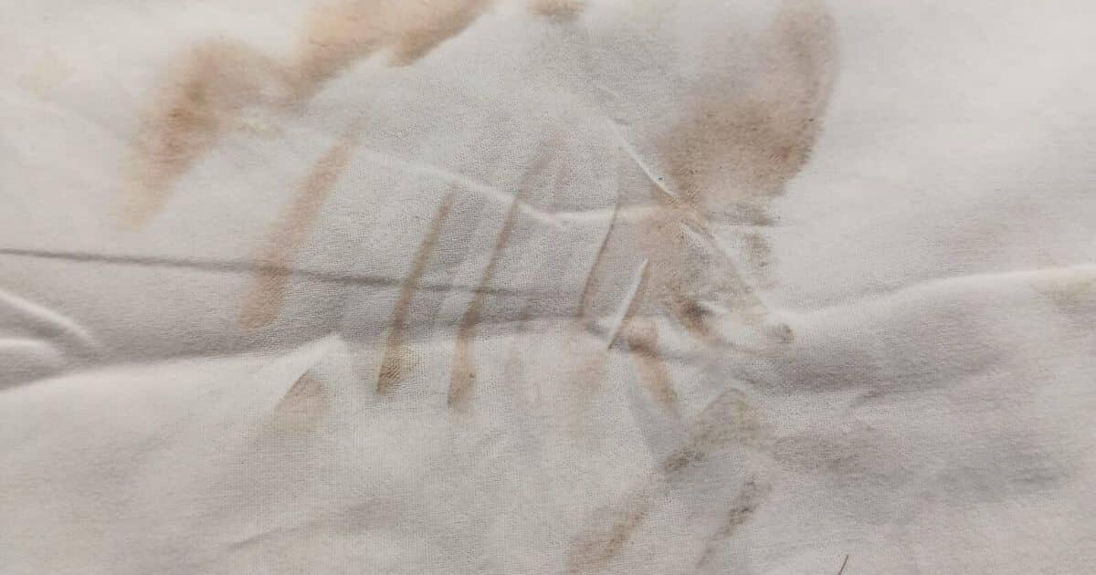 Misteriosa dispersione di polveri rossastre a Barletta: indagini in corso - 