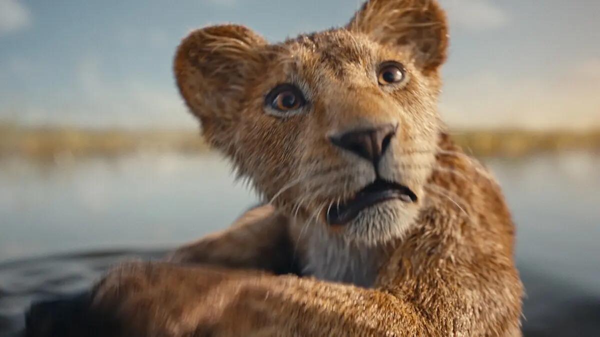 Rassegna cinematografica a Cormons: Il Gladiatore 2 e Mufasa – Il Re Leone - 