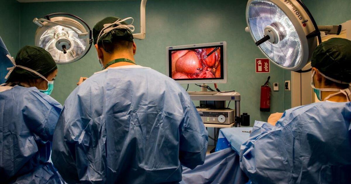 Record di trapianti in Italia: dati positivi del 2024 - 