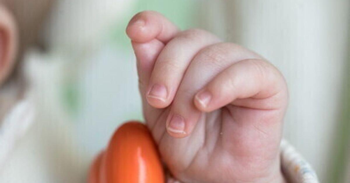 Tragedia a Bari: ritrovato il corpo senza vita di un neonato nella culla termica della parrocchia - 