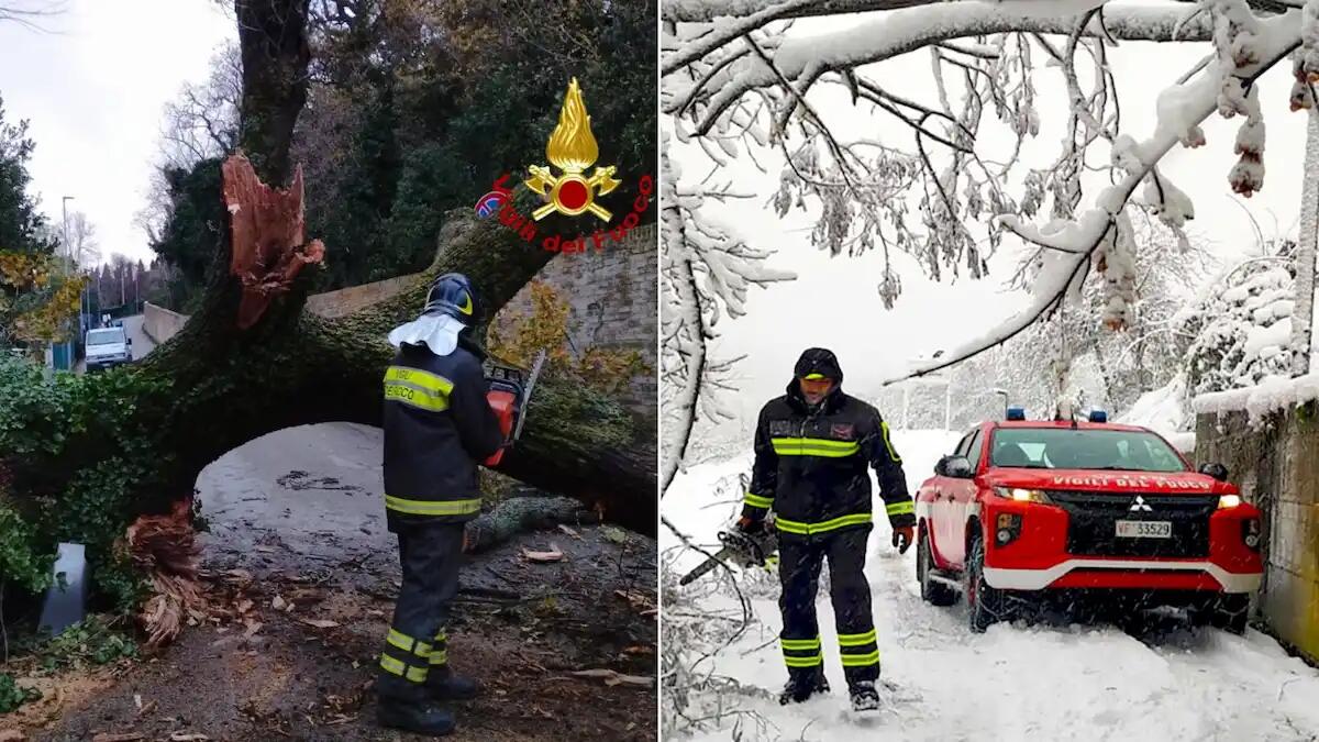 Scattata l'allerta meteo a Nord Est con piogge, vento forte e acqua alta: l'aggiornamento ore 8:00 - 