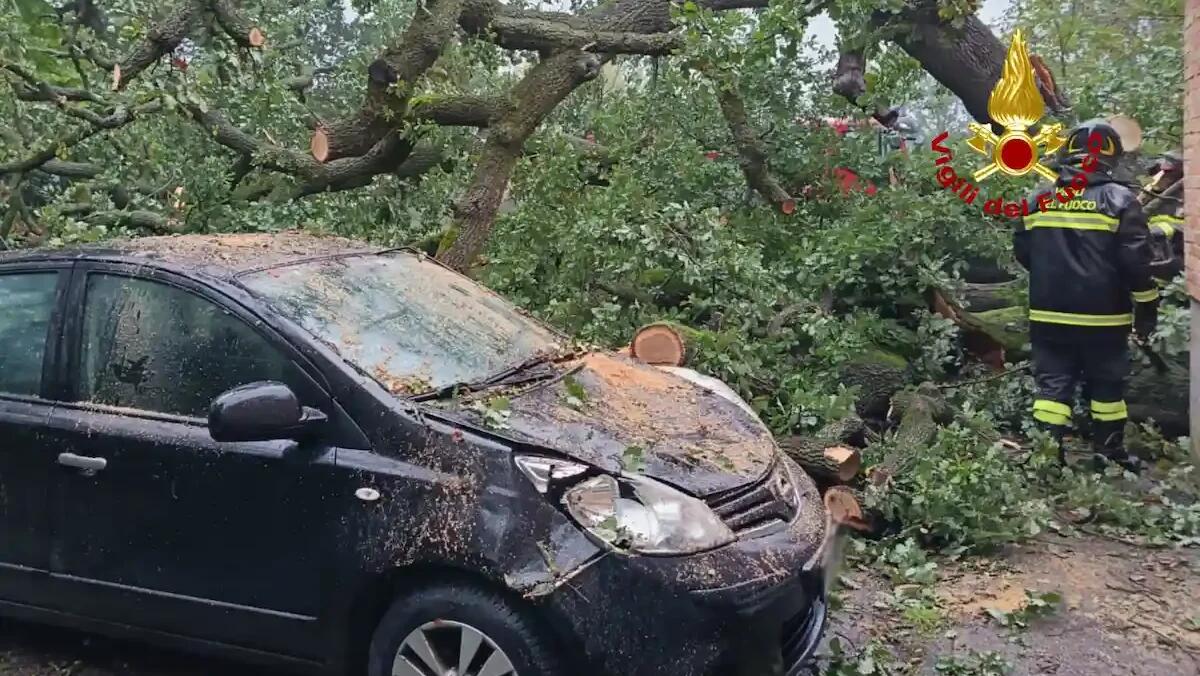 Maltempo e allerta meteo, aggiornamento ore 18: alberi caduti, un tetto scoperchiato e allagamenti - 