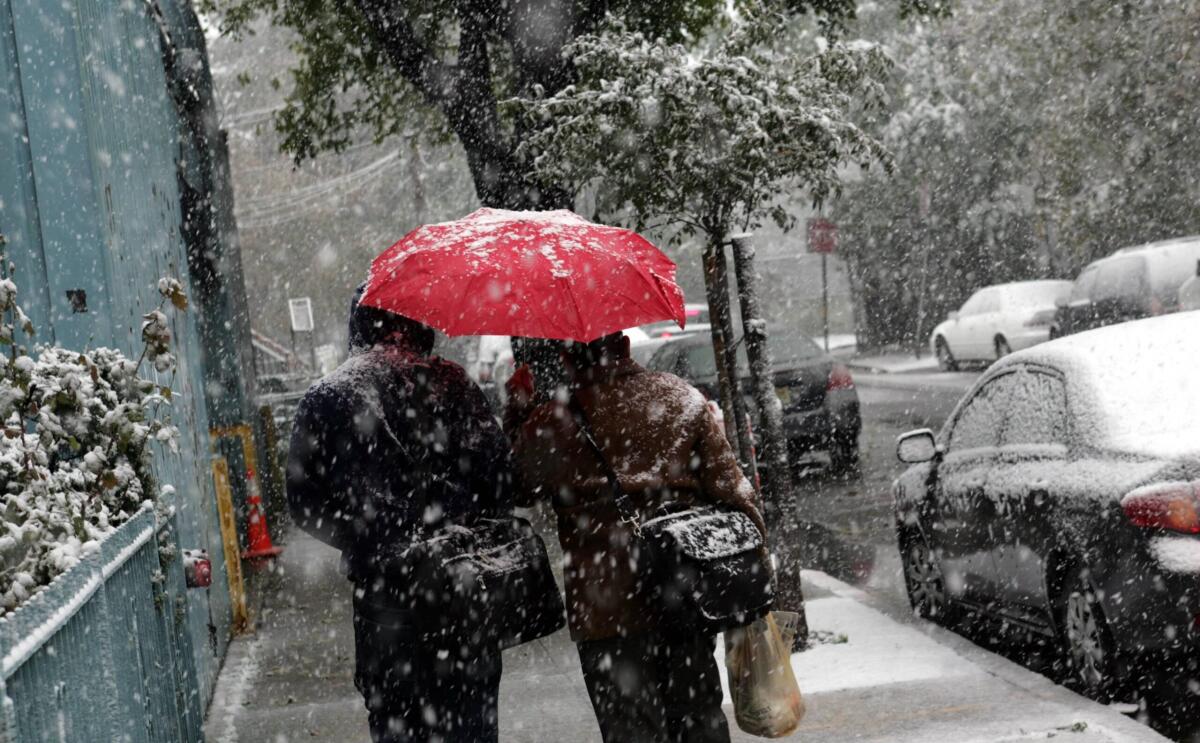 Previsioni meteo per il 2 gennaio 2025: pioggia e neve in Veneto e Friuli Venezia Giulia - 