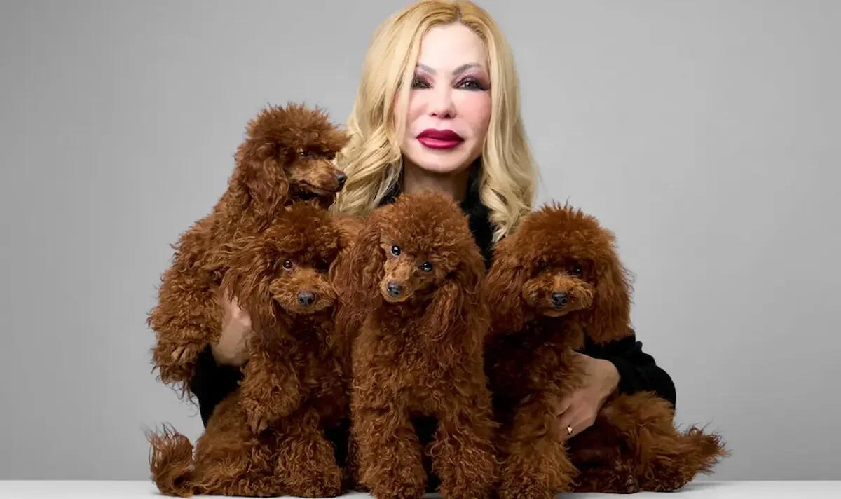 Il fascino del mantello rosso del Barboncino - 