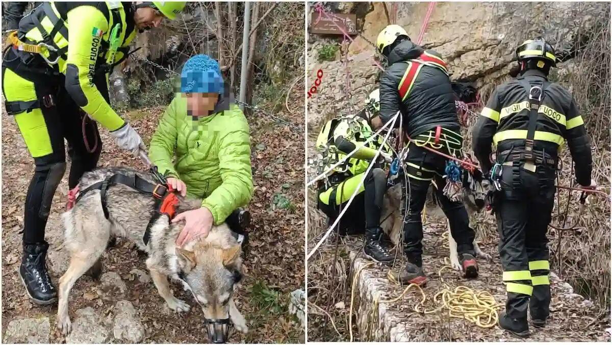 Cane scivola dal sentiero e precipita in una pozza: ferito, salvato dai vigili del fuoco - 