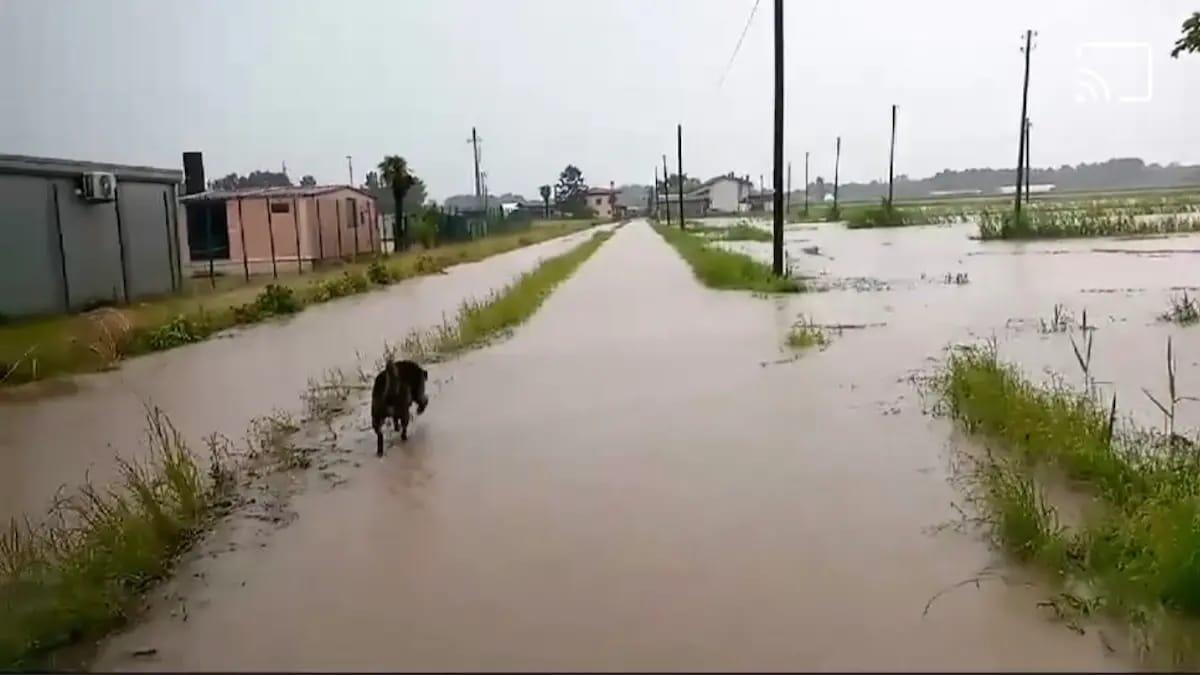 Allerta meteo in Veneto e Friuli Venezia Giulia martedì 28 gennaio 2025: le previsioni - 
