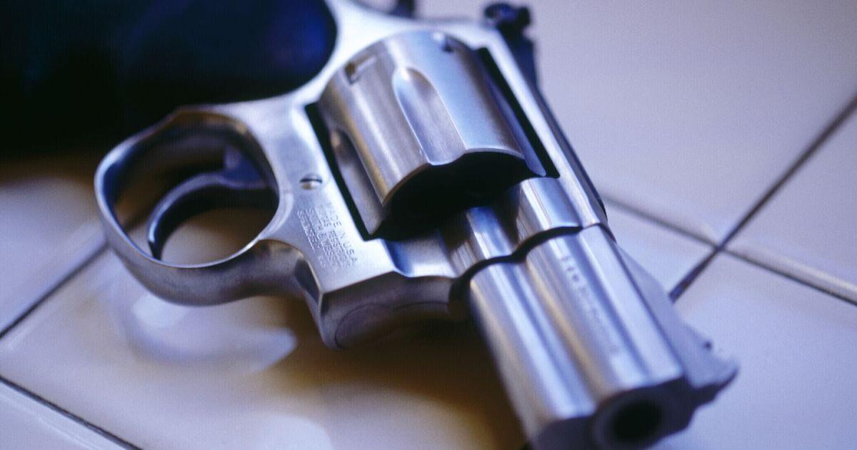 Raccoglie la pistola e spara: una bambina di tre anni gravemente ferita - 