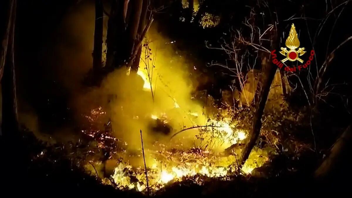 Incendio boschivo a Schio: le fiamme divorano oltre due ettari di vegetazione - 