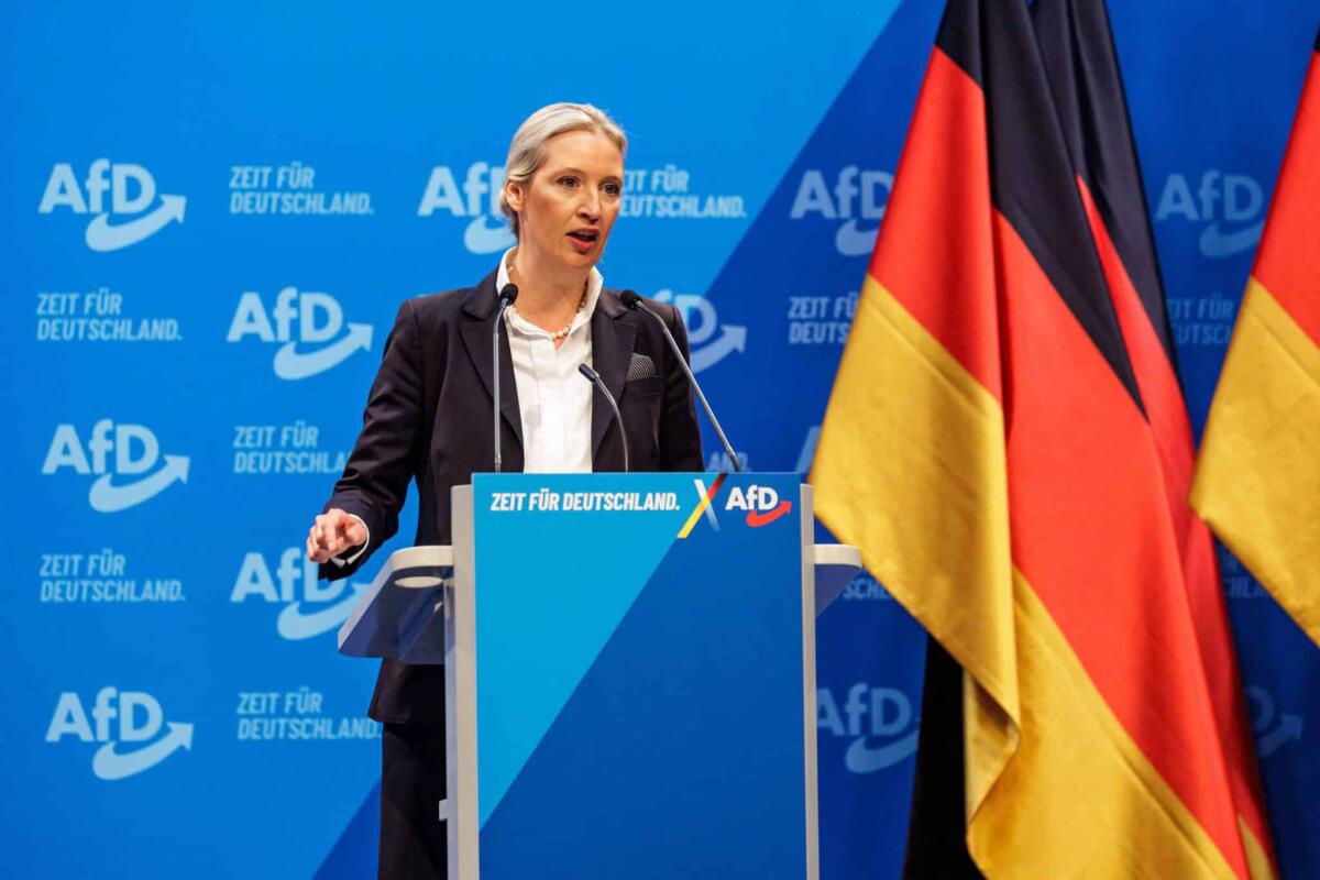 Alice Weidel eletta candidata cancelliere dall'Afd: manifestazione anti-Afd a Riesa - 