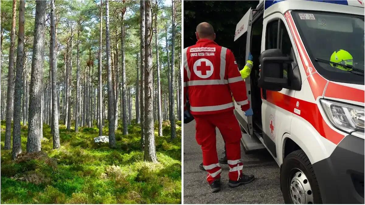 Un albero gli cade addosso mentre taglia una pianta su un tetto: grave un uomo di 60 anni - 