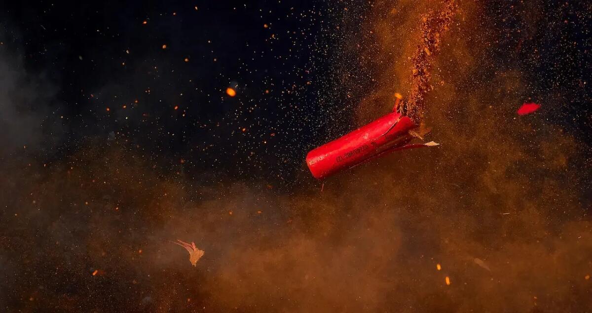 Fuochi d'artificio e pericoli per animali e persone: l’appello del PAI FVG - 