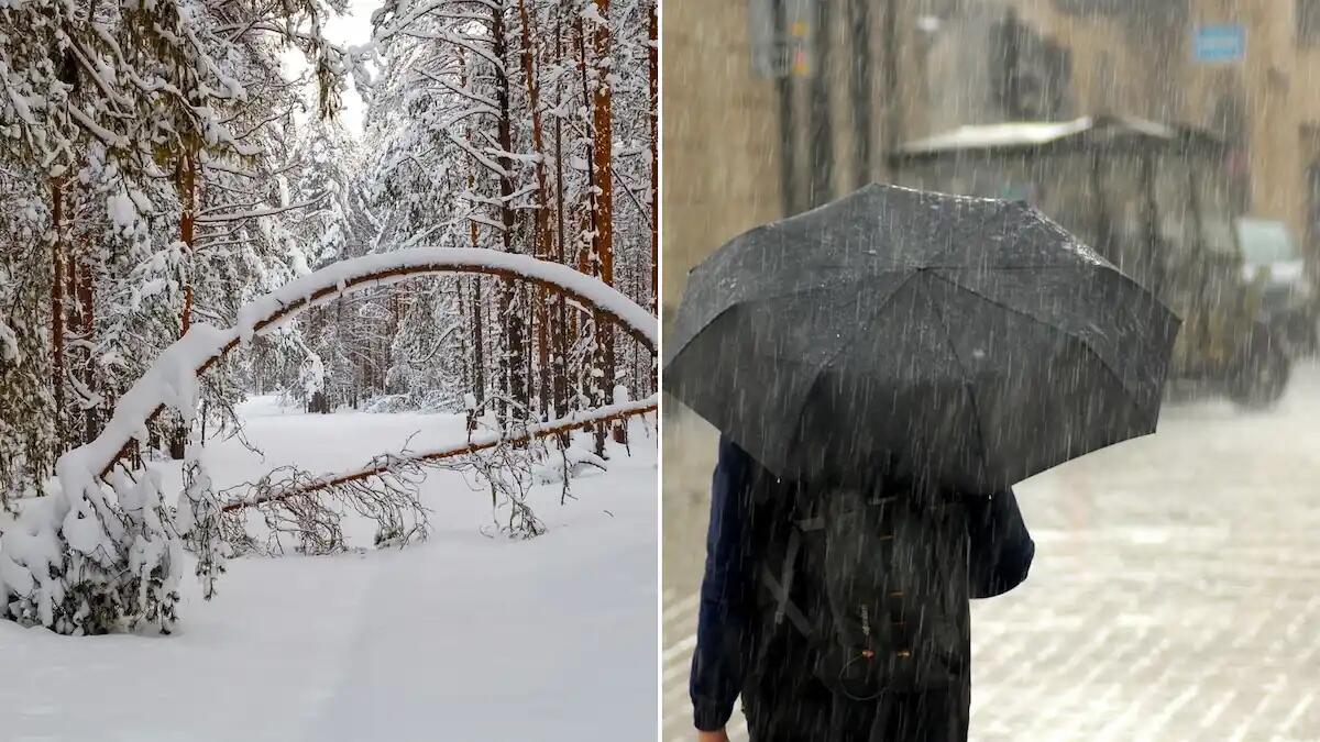 Maltempo in arrivo: «forti piogge e nevicate in Veneto, allerta meteo per rischio idrogeologico» - 