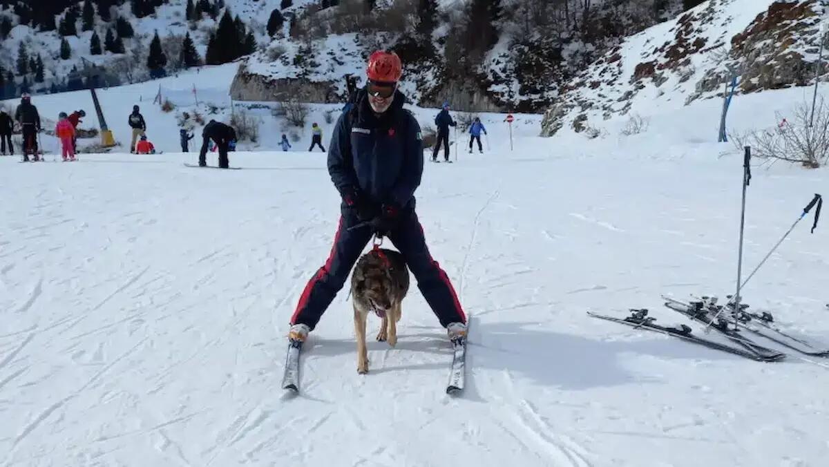Cani antidroga in azione sulle piste di Piancavallo: fermati due giovani con marijuana -