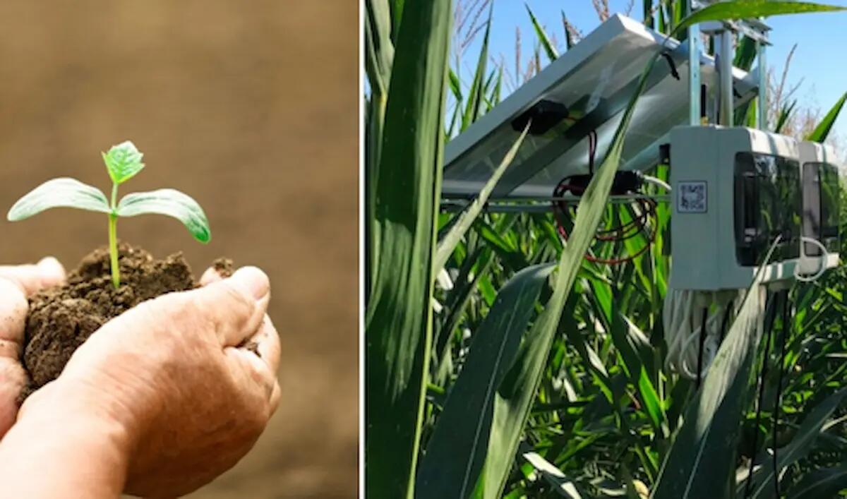 Plantvoice: il sensore per la salute delle piante - 