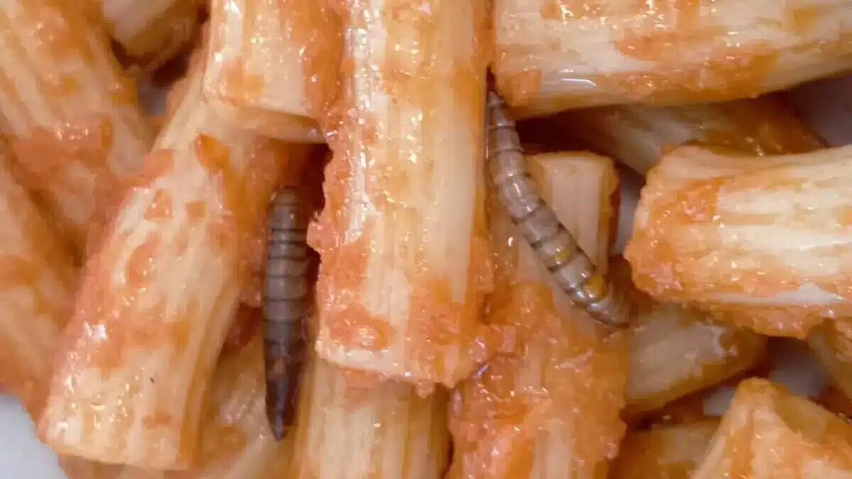 Larve vive nella pasta servita ai bambini: la scoperta scioccante durante il pranzo in una scuola primaria - 