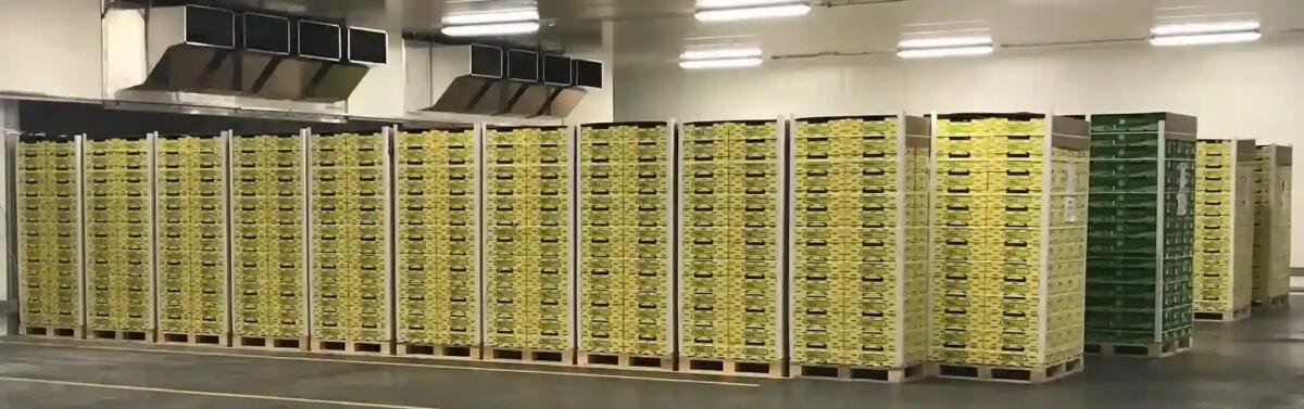 Dazi Usa: impatto sul vino e sul kiwi del Friuli Venezia Giulia - 