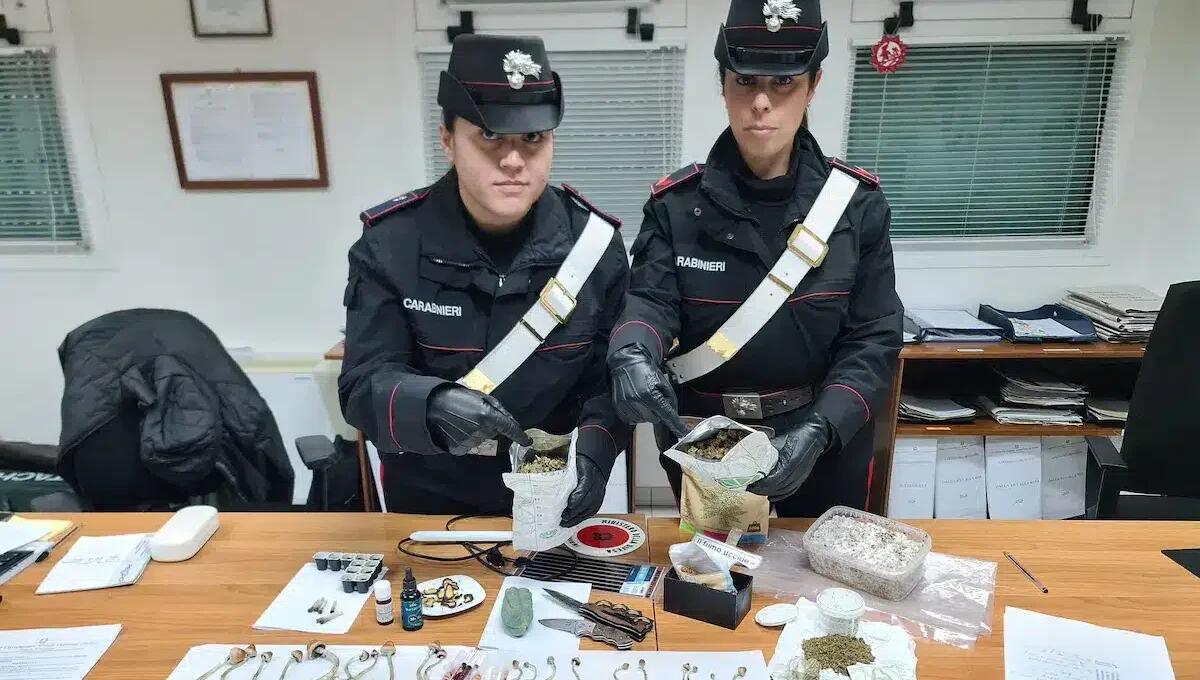 Blitz antidroga ad Aviano: sequestrati stupefacenti e strumenti per la coltivazione - 
