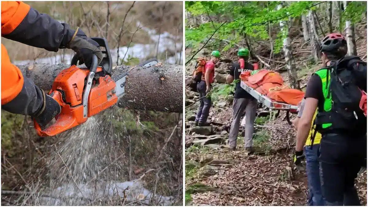Perde l'equilibrio su un ripido pendio e precipita per decine di metri: ferito un boscaiolo trentenne - 