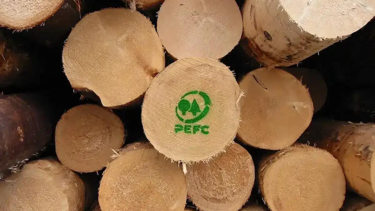 PEFC Italia: il 2024 segna un anno record per la certificazione forestale - 