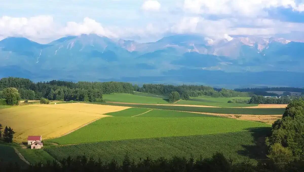 Itinerario alla scoperta di Hokkaido, l'isola più a nord del Giappone - 
