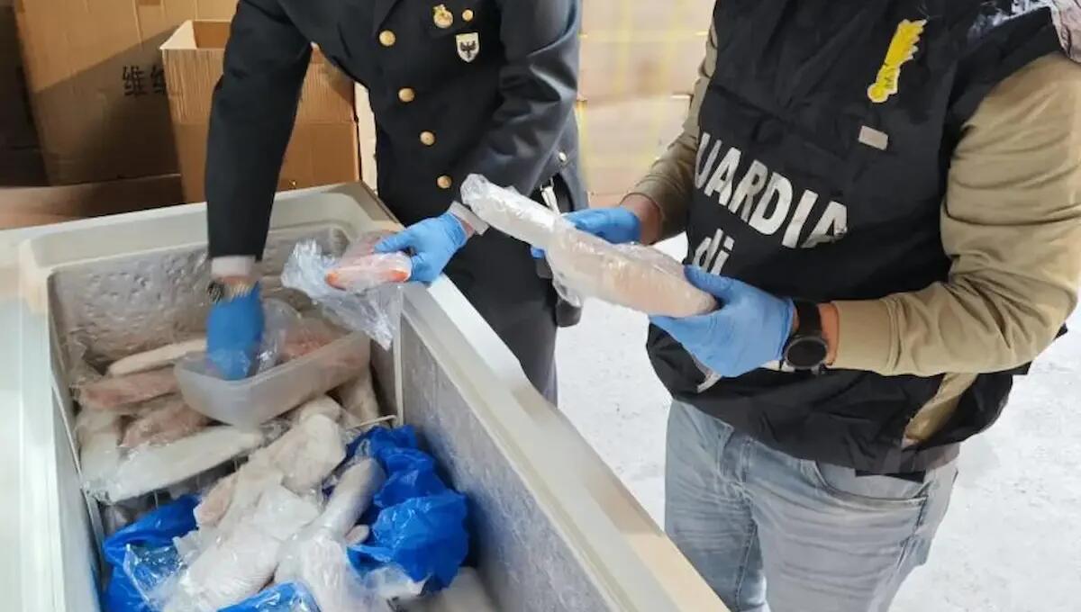 Pesce surgelato servito al ristorante come se fosse fresco: sequestrati 35 kg - 