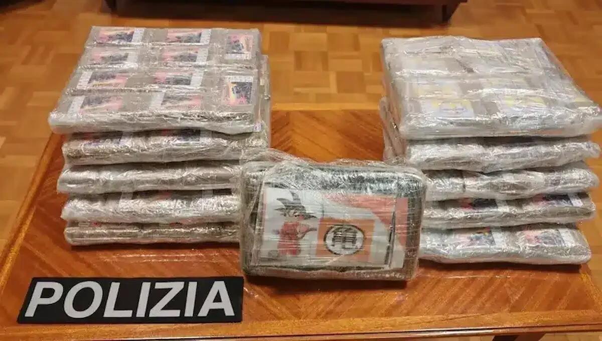 Coppia di spacciatori fermata all'uscita del casello sull'A22: nascondevano 11 kg di droga nelle auto -