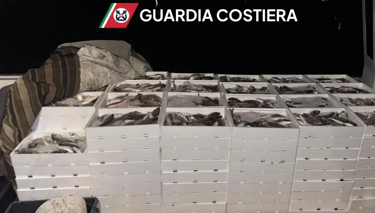 Maxi sequestro di pesce: confiscati 1000 kg di merce non idonea al consumo - 