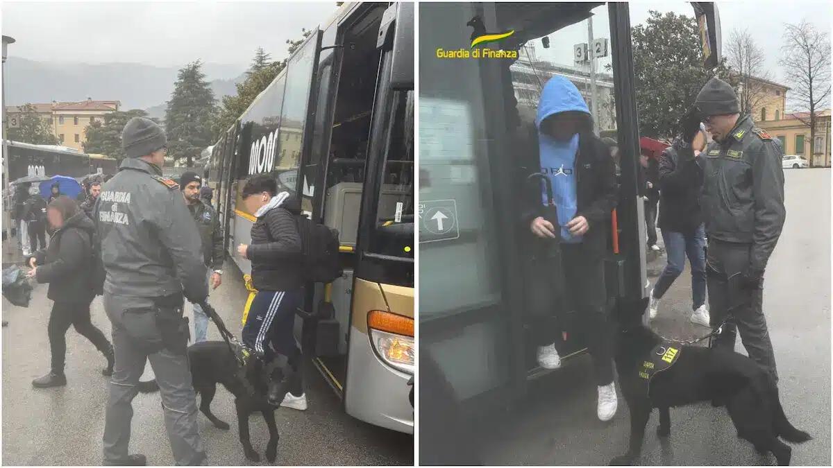 Cani antidroga in azione all'uscita dei mezzi pubblici: sequestrati 6 grammi di hashish tra giovani e studenti - 