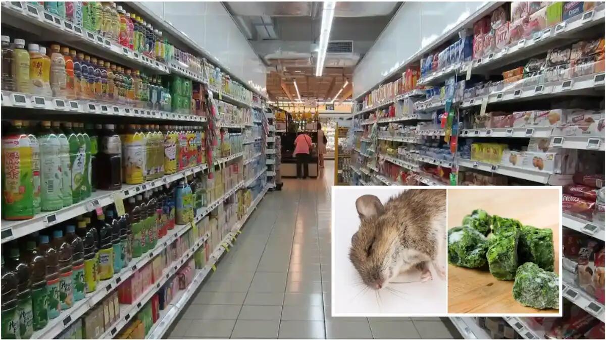 Resti di topo negli spinaci surgelati: due lotti ritirati dal mercato, sanzionata l'azienda produttrice - 