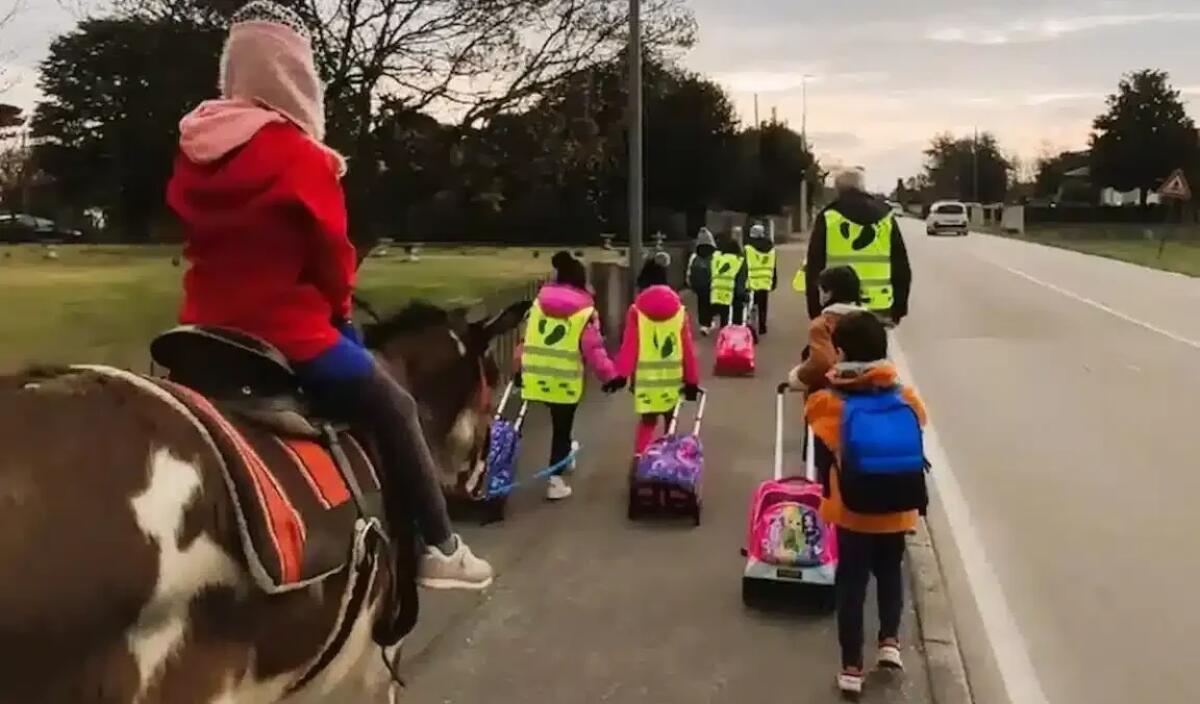 Godega di Sant’Urbano: l’Arca di Godega entra nelle scuole con asini, alpaca e cani -