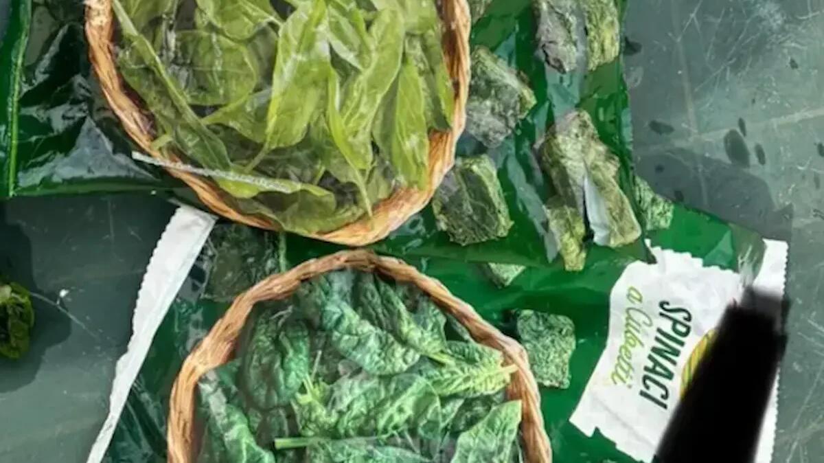 Topo negli spinaci, la Procura apre un fascicolo, la nuova ipotesi: gesto doloso da parte di un dipendente - 