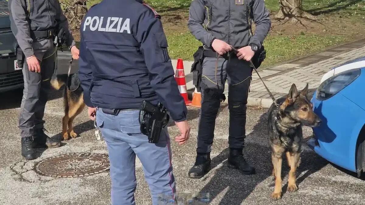 Controlli antidroga all'ENAIP: 15enne con marijuana tenta la fuga, ma viene fermato dalla professoressa - 