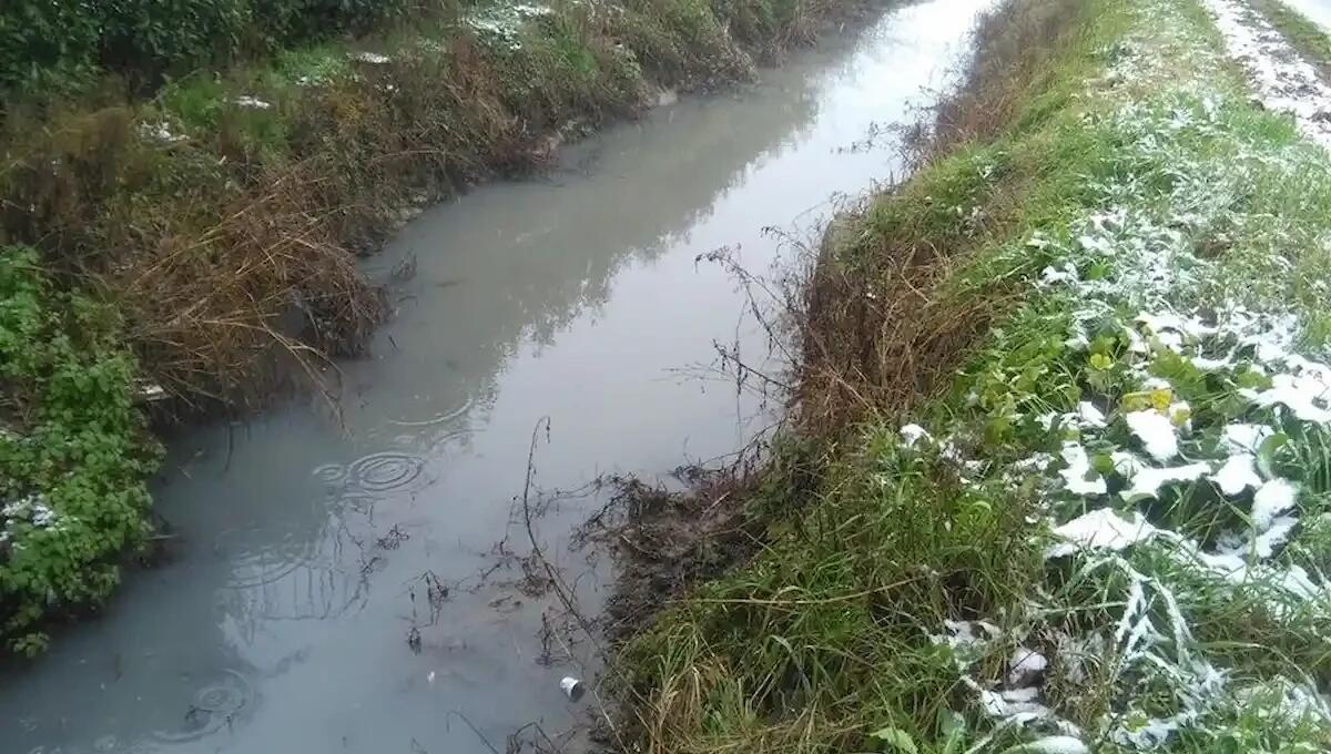 Trovato riverso in un canale dai passanti: mistero sulle cause della morte di un 70enne - 