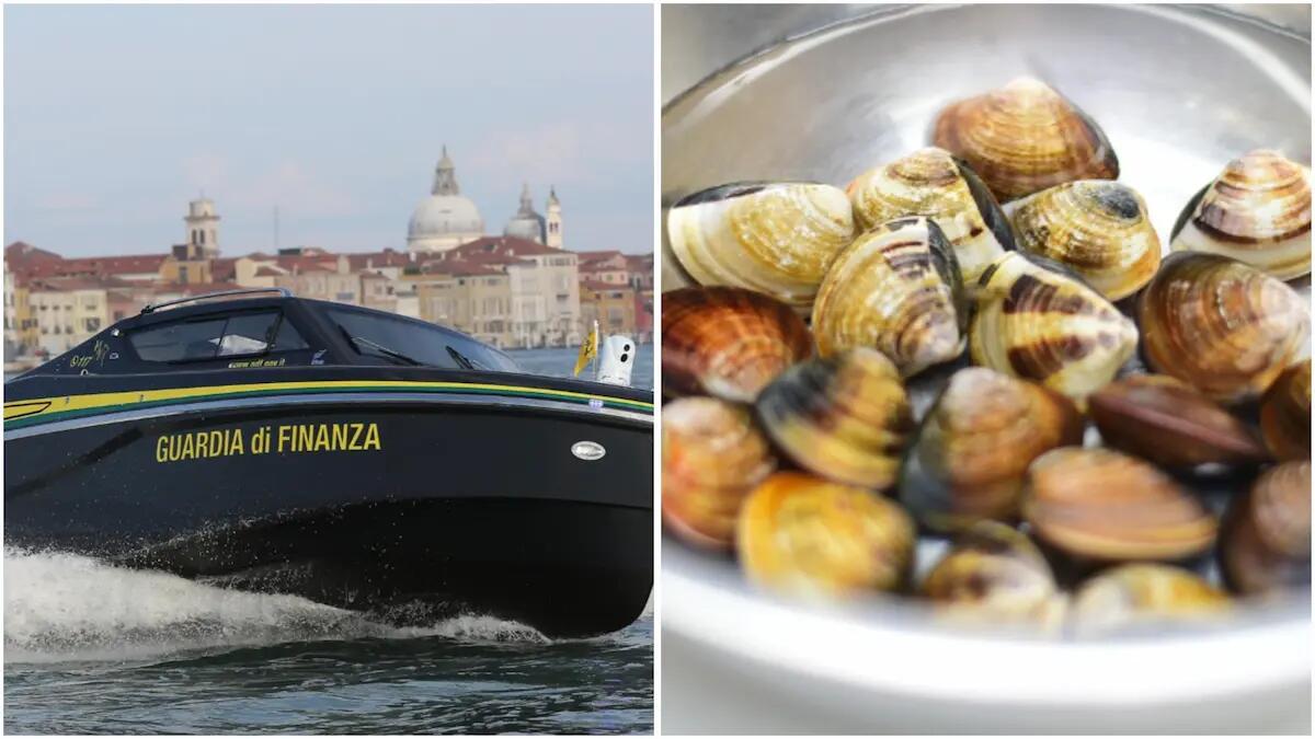 Pesca abusiva e prodotti privi di documenti sanitari: sequestrati 400 kg di vongole, 7 denunciati - 