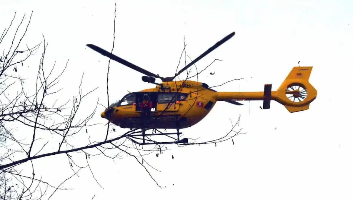 Rimane folgorato dopo aver toccato i fili dell'alta tensione con le cesoie: finisce in ospedale - 