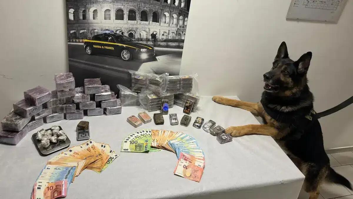 Maxi operazione antidroga: sequestrati 16,5 kg di hashish - 