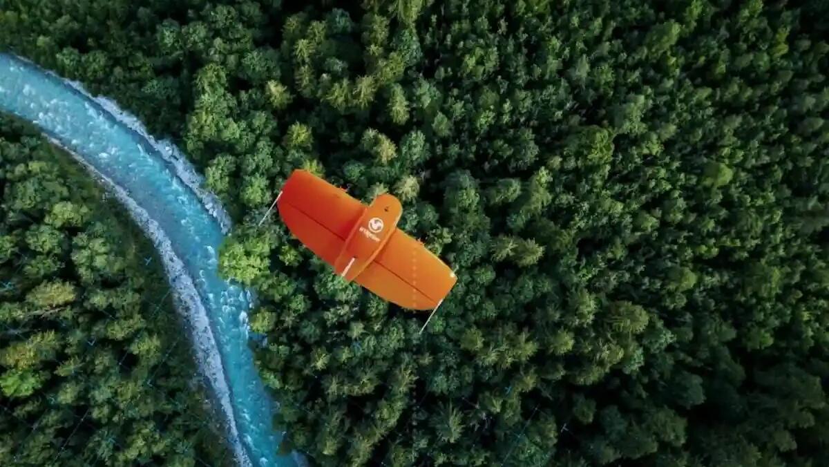 Pri.for.man: l’innovazione tecnologica per una gestione sostenibile delle foreste in Friuli Venezia Giulia - 