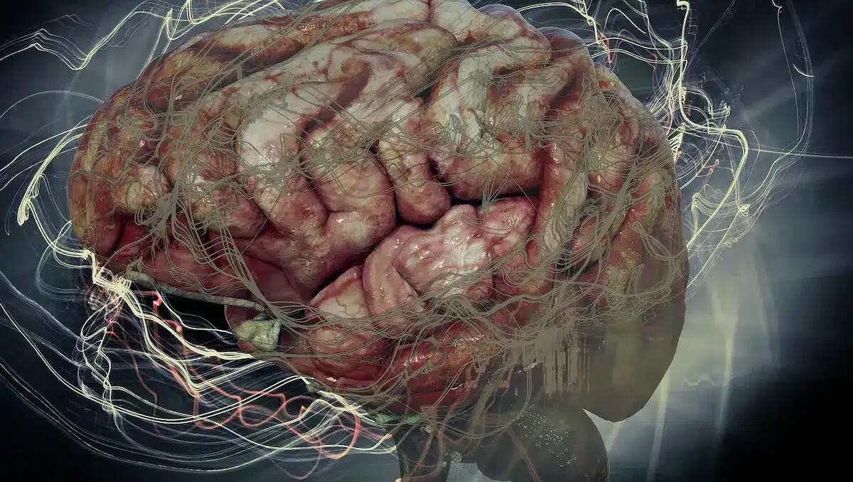 La neurologia: comprendere il cervello e il sistema nervoso - 