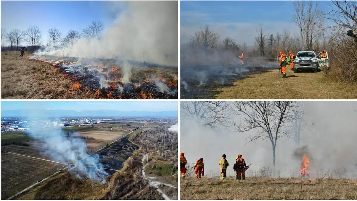 Sicurezza incendi e recupero ambientale: al via l'attività di fuoco prescritto a San Vito al Tagliamento - 