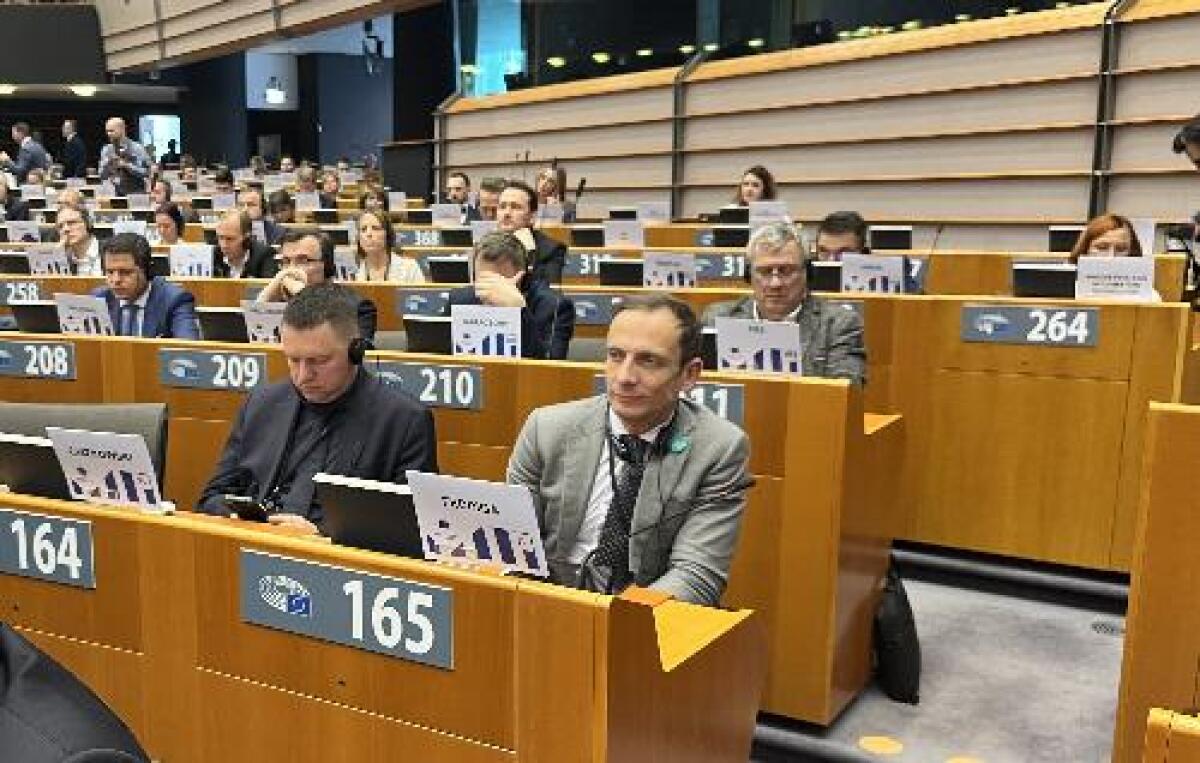 Il governatore Fedriga a Bruxelles per il futuro dell'Unione Europea - 